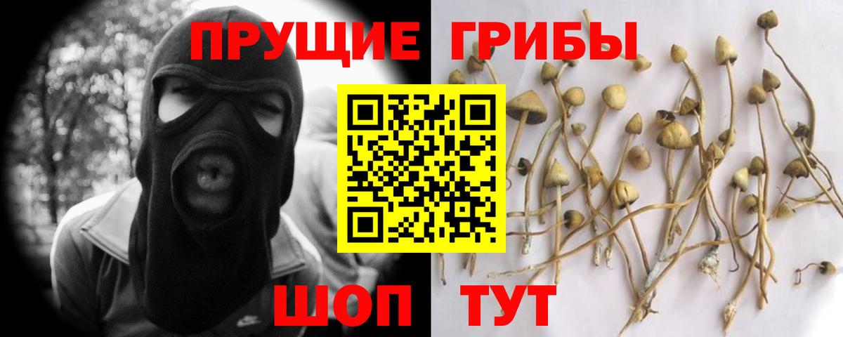 Псилоцибиновые грибы мицелий  Псилоцибиновые грибы ЛСД  Лянтор  Вход с VPN 